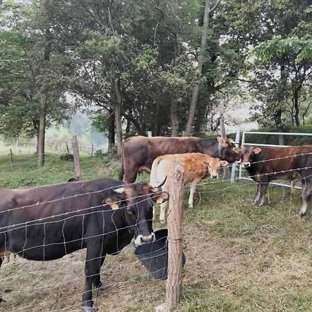 Agroturismo Erlete Goikoa Deba Exterior foto