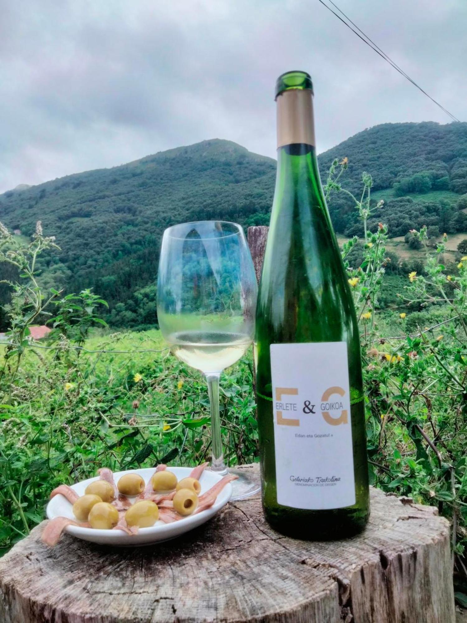 Agroturismo Erlete Goikoa Deba Exterior foto