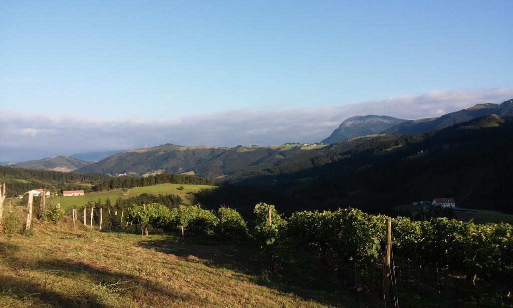 Agroturismo Erlete Goikoa Deba Exterior foto