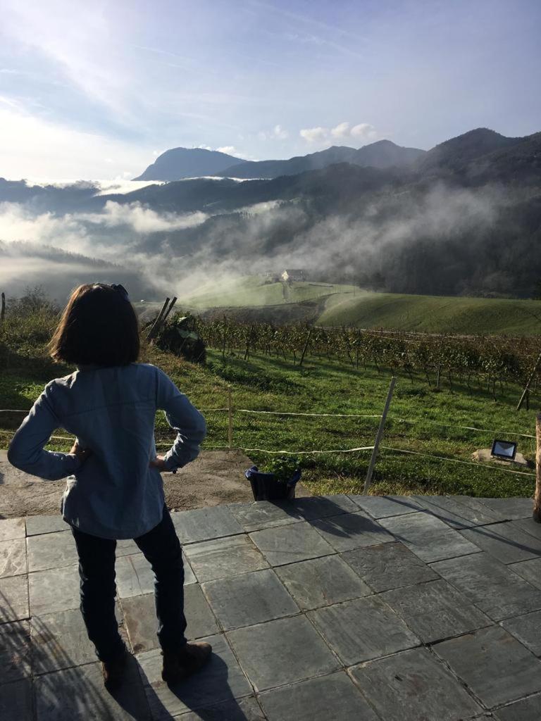 Agroturismo Erlete Goikoa Deba Exterior foto